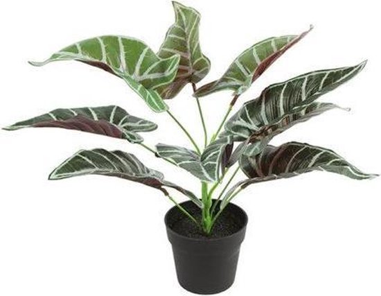 Kunstplant Alocasia groen 32cm