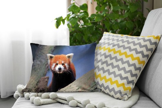 Kinderkussen 53x38x6 Cm Panda Peuterkussen 53x38x6 Cm Coussn Panda | Coussn Panda, Coussn, Tour De Lt Kussen Voor Peuters Kussen 53x38 Cm