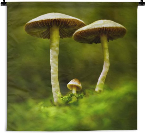 Wandkleed - Wanddoek - Twee grote en één kleine paddenstoel - 120x120 cm - Wandtapijt
