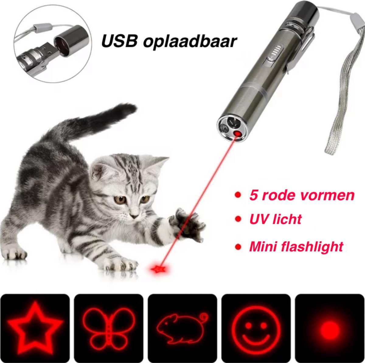 Lampe torche stylo pointeur laser rouge stylo laser LED pour jouets  d'entraînement chat chasse