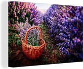 Canvas Schilderij Lavendel - Buiten - Mand - 30x20 cm - Wanddecoratie