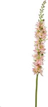 Viv! Home Luxuries Eremurus - smal - zijden bloem - roze - 58cm - topkwaliteit
