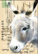 Dubbele kaart met env. Ezel 11,5x17,5cm