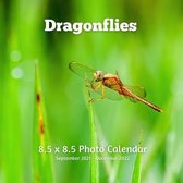 Dragonflies 8.5 X 8.5 Photo Calendar September 2021 -December 2022