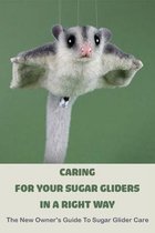 Caring For Your Sugar Gliders In A Right Way: The New Owner's Guide To Sugar Glider Care