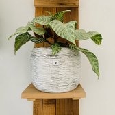 SIMPLYBLOOM.EU - Pot Naila (Set van 2)