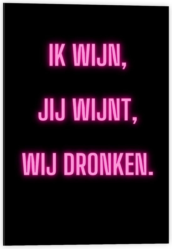 Dibond - Tekst: ''Ik Wijn, Jij Wijnt, WIj dronken'' Neon Letters Roze/Zwart - 40x60cm Foto op Aluminium (Wanddecoratie van metaal)