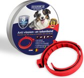 vlooienband voor honden - rood - 100% natuurlijk - vlooien en teken - zonder giftige pesticiden - makkelijk aan te brengen - geschikt voor alle honden
