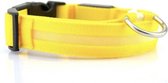Led halsband voor honden met led verlichting - Geel - maat S/M/L beschikbaar - maat L (41-52cm)