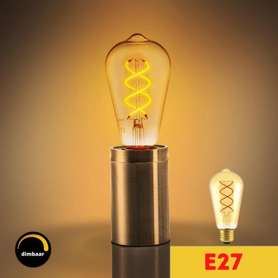 Proventa LED Filament lamp E27 - ⌀ 64 mm - Dimbaar - Warm wit - Vintage led  lampen | bol.com