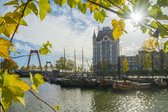 Fotobehang Rotterdam oude haven met het Hoge Huis en Willemsbrug 250 x 260 cm - € 175,--