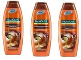 3 x  Palmolive Naturals 2 in 1 Shampoo  Argan Oil - Dry Hair