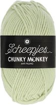 Scheepjes Chunky Monkey- 2017 Stone 5x100gr