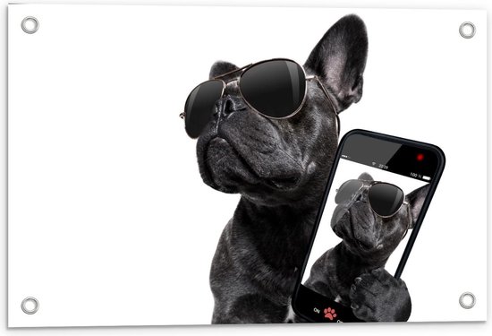 Tuinposter – Zwarte Bulldog trots op zijn Selfie - 60x40cm Foto op Tuinposter  (wanddecoratie voor buiten en binnen)