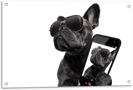 Tuinposter – Zwarte Bulldog trots op zijn Selfie - 90x60cm Foto op Tuinposter  (wanddecoratie voor buiten en binnen)