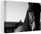 Canvas Schilderij Close-up van een paard met halster in zwart-wit - 90x60 cm - Wanddecoratie