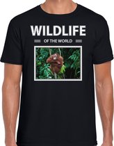 Dieren foto t-shirt Orang oetan aap - zwart - heren - wildlife of the world - cadeau shirt Orang oetans liefhebber S