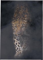 Canvasdoek Panter | Smoke | Luipaard | Leopard | Wanddecoratie | 100 CM x 150 CM | Schilderij | Dieren | Natuur