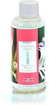 Ashleigh & Burwood - navulling geurstokjes - Honeysuckle Blooms - Refill Reed Diffuser