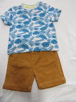 noukie's , kledingset , jongen , tshirt + short , blauw/wit, /roestbruin  12 maand 80