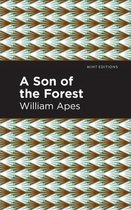 A Son of the Forest