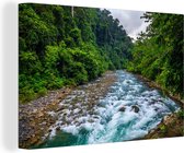 Canvas Schilderij Rivier door het nationale park Gunung Leuser in Indonesië - 30x20 cm - Wanddecoratie