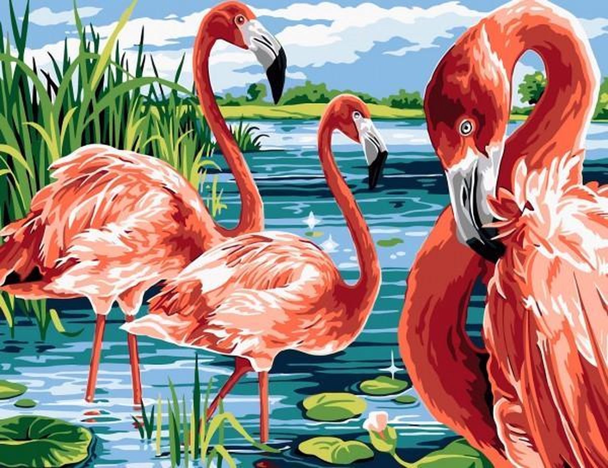 Menga Schilderen Op Nummer Flamingo 50 X 40 Cm Canvas/acryl