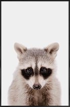 JUNIQE - Poster in kunststof lijst Raccoon -40x60 /Grijs & Zwart