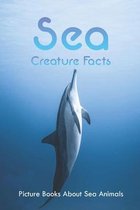 Sea Creature Facts: Picture Books About Sea Animals