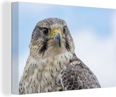 Canvas schilderij 140x90 cm - Wanddecoratie Sakervalk - Portret - Roofvogel - Muurdecoratie woonkamer - Slaapkamer decoratie - Kamer accessoires - Schilderijen
