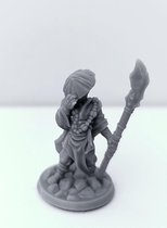 3D Printed Miniature - Monk Male 02 - Dungeons & Dragons - Hero of the Realm KS