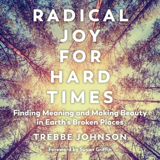 Radical Joy for Hard Times - cover