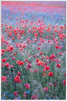 JUNIQE - Poster in kunststof lijst Poppy Seed Heaven -60x90 /Groen &