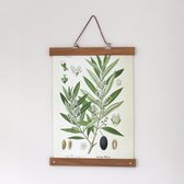 All Things We Like Olive - Poster met houten posterhanger