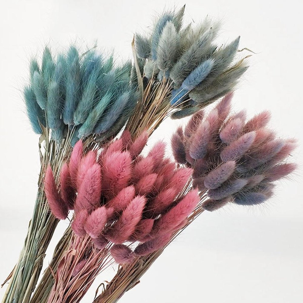 Bouquet De Fleurs Séchées Lagurus Ovatus (queue De Lapin) - Beige/marron - Longueur 45 Cm - 80 Tiges - Décoration Mariage, Maison