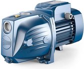 Pedrollo JSWm/2B (12M) 1,25pk-220v