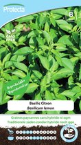 Protecta Groente zaden: Basilicum lemon