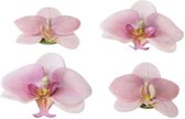 Velda Vijver Vijvertechniek Drijvende Vijverplant Orchidee Roze 7/9Cm
