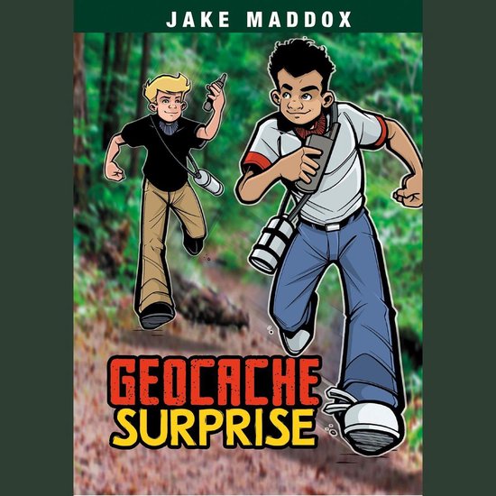 Geocache Surprise - cover