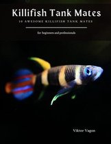 Killifish Tank Mates