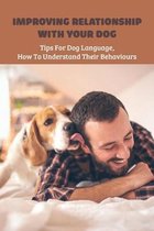 Improving Relationship With Your Dog: Tips For Dog Language, How To Understand Their Behaviours