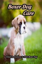Boxer Dog Care: Detail Instructions to Train Boxer Dog