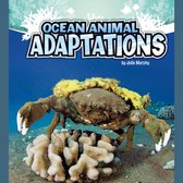 Ocean Animal Adaptations