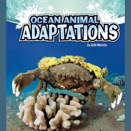Ocean Animal Adaptations - cover