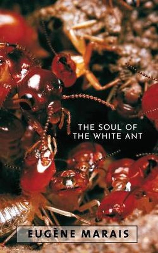 Soul Of The White Ant
