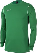 Nike Park 20 Sporttrui - Maat XXL  - Vrouwen - groen/wit