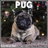 Pug Calendar 2021