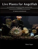 Live Plants for Angelfish