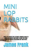 Mini Lop Rabbits: Mini Lop Rabbits