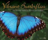 Nature Appreciation- Vibrant Butterflies